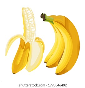 Fresh Delicious Banana Fruit Vector Illustration