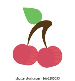 fresh and delicious cherry on white background