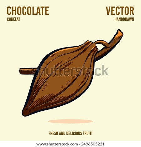 Fresh and delicious chocolate fruit vector hand draw illustration