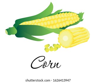 Fresh delicious corn icon vector illustration. Ripe corncobs with yellow corns and green leaves. Organic agriculture corning. Isolated on white background