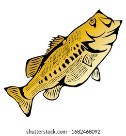 a fresh delicious largemouth bass