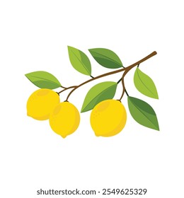 
Fresh delicious lemons on branch flat vector illustration on white background.