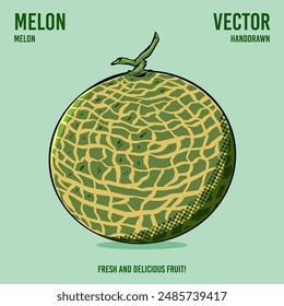 Fresco y delicioso Vector de fruta de melón dibujo a mano ilustración