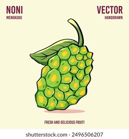 Fresh and delicious noni fruit vector hand draw illustration