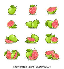 Fresh and delicious Pink Guava Fruit Icons collection- Vector illustration