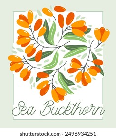 Fresh delicious ripe sea buckthorn berries vector flat illustration isolated on white, natural diet food vegetation tasty eating, forest wild berries series.