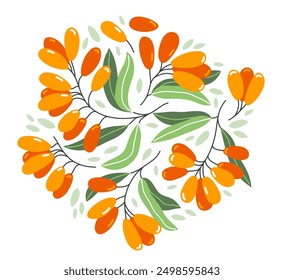 Fresh delicious ripe sea buckthorn berries vector flat illustration isolated on white, natural diet food vegetation tasty eating, forest wild berries series.