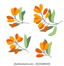 Fresh delicious ripe sea buckthorn berries vector flat illustration isolated on white, natural diet food vegetation tasty eating, forest wild berries series.