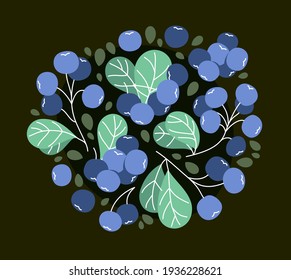 Fresh delicious ripe wild blueberry vector flat illustration on dark background, natural diet food vegetation tasty eating, forest wild berries series.