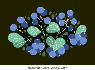 Fresh delicious ripe wild blueberry vector flat illustration on dark background, natural diet food vegetation tasty eating, forest wild berries series.