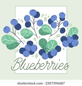 Fresh delicious ripe wild blueberry vector flat illustration isolated on white, natural diet food vegetation tasty eating, forest wild berries series.