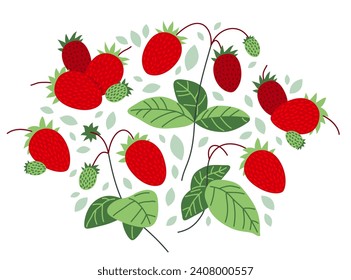 Fresh delicious ripe wild strawberries vector flat illustration isolated on white, natural diet food vegetation tasty eating, forest wild berries series.