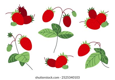 Fresca deliciosa ilustración plana de Vector de fresas silvestres maduras aislada en blanco, vegetación de alimentos naturales de dieta sabrosa, serie de bayas silvestres del bosque.