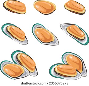 Fresh Delicious Seafood, musselson on white background. Vector illustration.