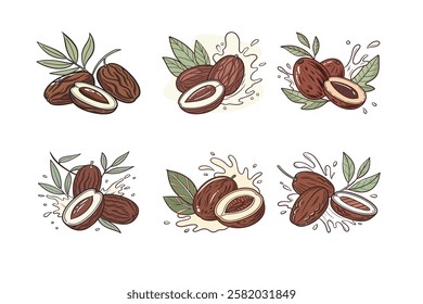 Fresh delicious set of Date set splashing with leaves, cut out vector illustration.