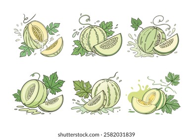 Fresh delicious set of Honeydew set splashing with leaves, cut out vector illustration.