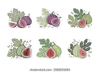 Fresh delicious set of Indian Fig set splashing with leaves, cut out vector illustration.