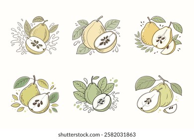 Fresh delicious set of Quince splashing with leaves, cut out vector illustration