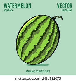 Fresh and delicious watermelon fruit vector hand draw illustration