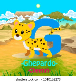 Fresh Design cute Animal Vector & colorful Italian Language "G" Word Alphabet of Ghepardo, Meaning The Cheetah.