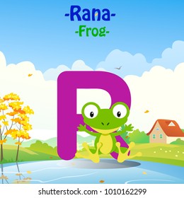 Fresh Design cute Animal Vector & colorful Italian Language "R" Word Alphabet of Rana, Meaning The Frog.