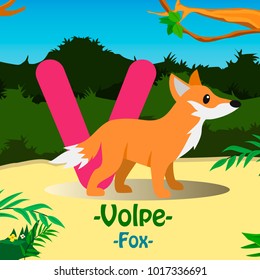 Fresh Design cute Animal Vector & colorful Italian Language "V" Word Alphabet of Volve, Meaning The Fox.