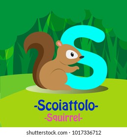 Fresh Design cute Animal Vector & colorful Italian Language "S" Word Alphabet of Scoiattolo, Meaning The Squirrel.