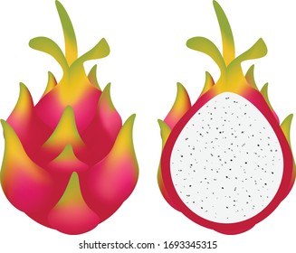 Frische Drachenfrucht und geschnittene Vektorillustration und Illustration