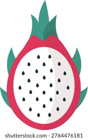 Ilustración vectorial de fruta tropical de rebanada de fruta de dragón fresco