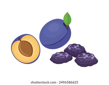 Fresh and dried plums icon set vector. Prune plum icon set vector isolated on white background. Whole and half plum vector illustration