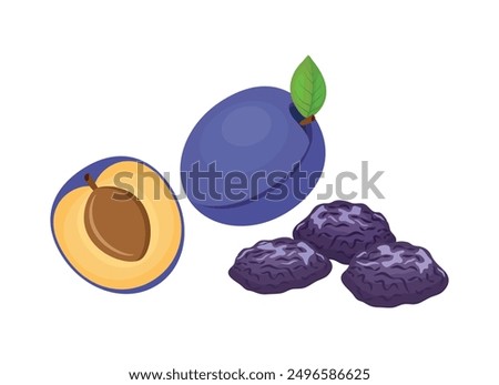Fresh and dried plums icon set vector. Prune plum icon set vector isolated on white background. Whole and half plum vector illustration