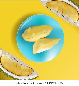 Fresh Durian fruit  in plate vector style on yellow background
