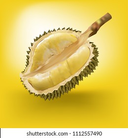 Fresh Durian fruit vector style on yellow background 