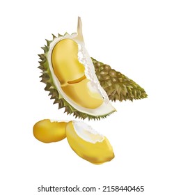 Fresh durian peeled fruit organic  
