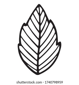 Fresh eco plant leaf icon. Hand drawn illustration of fresh eco plant leaf vector icon for web design