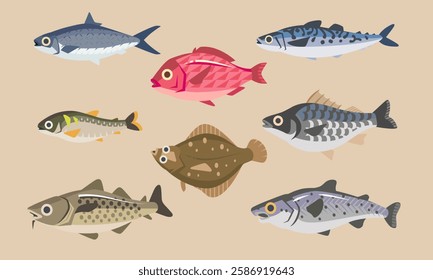 Fresh edible cute cartoon fish collection. Flat Illustration of flatfish, ayu fish, Gadus morhua, salmon, mackerel, seabass, milkfish, and snapper.