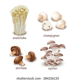 Fresh edible mushrooms. Isolated on white.