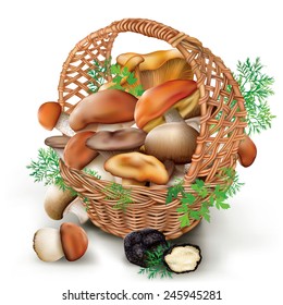 Fresh edible mushrooms in a wicker basket on a white background