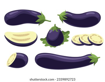 Fresh eggplant cartoon set. Aubergine garden healthy whole half slices veggies with leaves isolated on white background, brinjal farm food fruits vector illustration