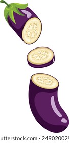 Fresh eggplant cut in half

