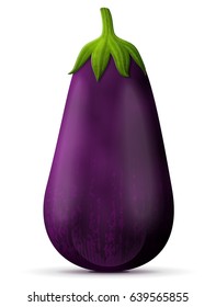 Fresh eggplant fruit close up. Raw aubergine with tail isolated on white background