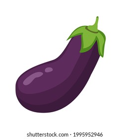 Fresh eggplant isolated on white background. Brinjal vector illustration transparent png.