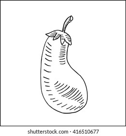 fresh eggplant vector drawing illustration,  in hand drawn sketch style,  for fruits and vegetables market design