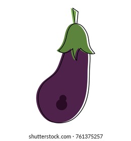 Fresh eggplant vegetable