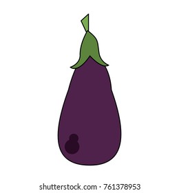 Fresh eggplant vegetable