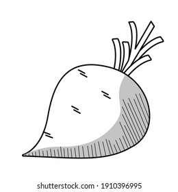 vegetal de berenjena fresca, diseño de ilustraciones vectoriales a mano