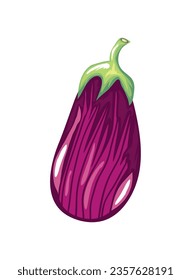 fresh eggplant vegetable icon isolated white background