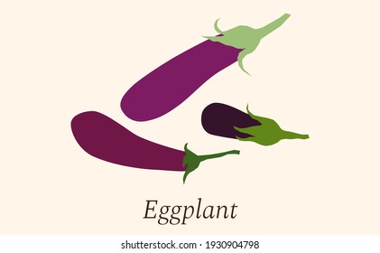 Fresh Eggplant vegetable isolated icon. Eggplant for farm market, vegetarian salad recipe design. vector illustration in flat style