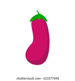 Fresh Eggplant vegetable isolated icon. Eggplant for farm market, vegetarian salad recipe design. flat style