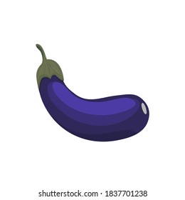Fresh eggplant vegetable isolated object. Eggplant for advertising farmers markets, vegetarian menu design. Vector illustration. Flat